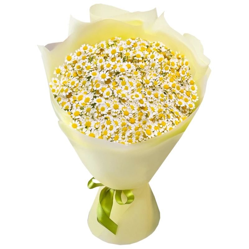 Букет из 11 кустовых ромашек