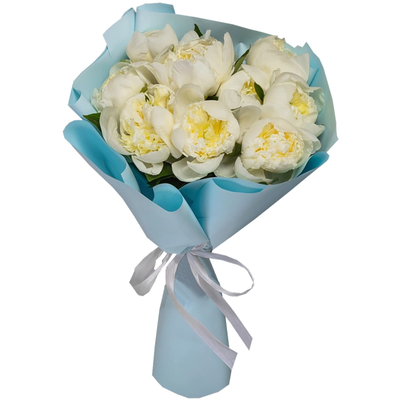 Букет из 9 белых пионов