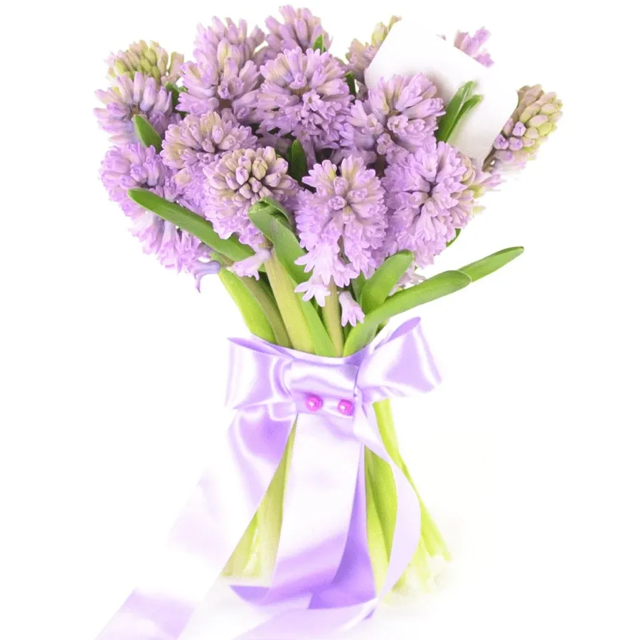 Гиацинт розовый